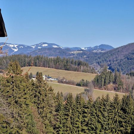 Natur- & Erlebnis Ferienhaus Voitsberg Eksteriør bilde